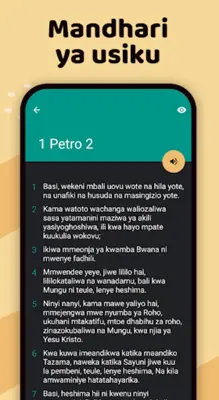 Biblia na Sauti android App screenshot 0